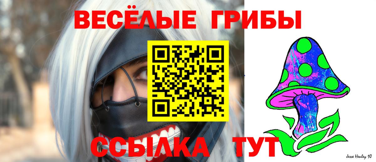 Псилоцибиновые грибы мицелий  Вход с VPN  Галлюциногенные грибы Cubensis  Прохладный 