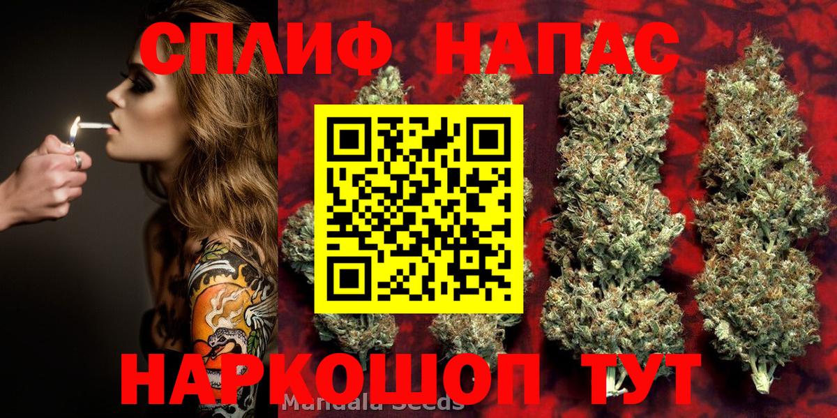 Конопля сатива Прохладный